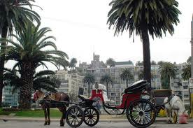 Tour en Viña del Mar de chile